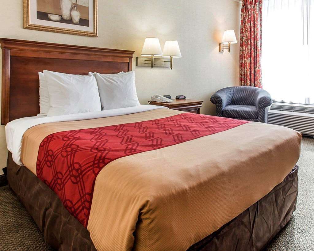 Econo Lodge カーナーズビル 部屋 写真